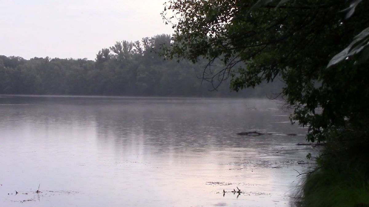 Donau-Oder-Kanal, Nebel 1